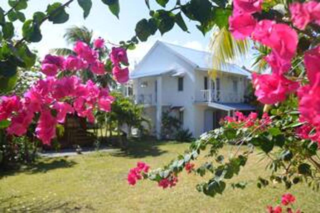 Sea And Sand Bed & Breakfast Pointe D'Esny Exterior photo